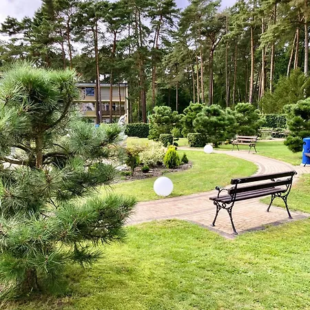 Blue Mare Bb Łukęcin