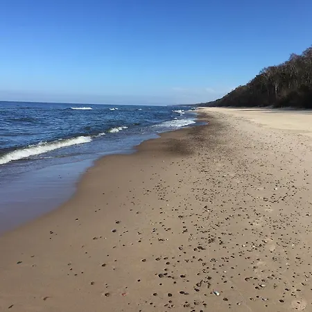 Blue Mare Bb * Łukęcin