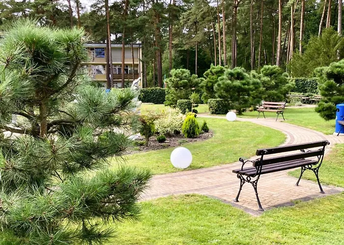 Blue Mare Bb Lukecin