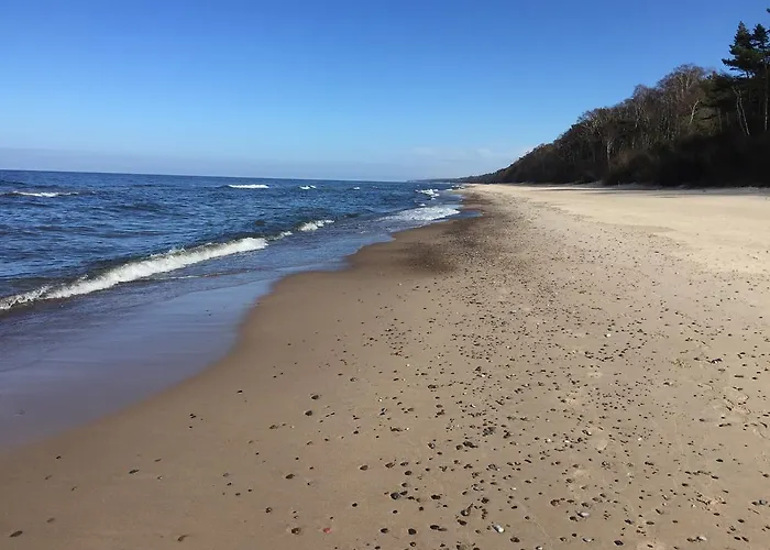 Blue Mare Bb * Lukecin